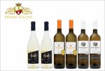 selezione-vini-tenuta-di-condro