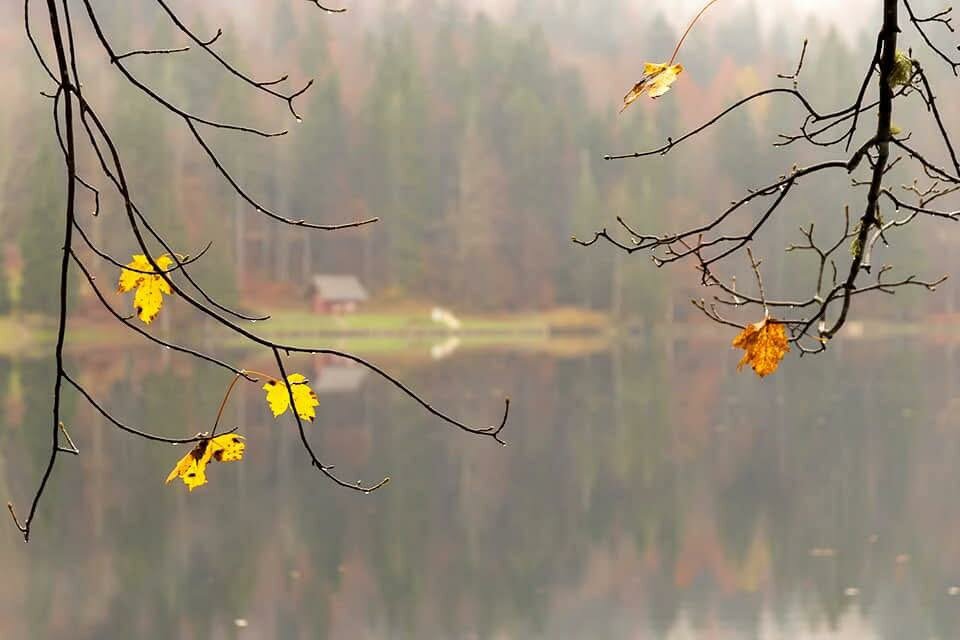 Chiamati all&rsquo;amore, chiamati da Dio