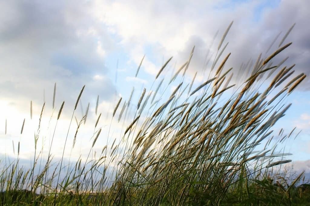 L&rsquo;importanza della fine per la fede