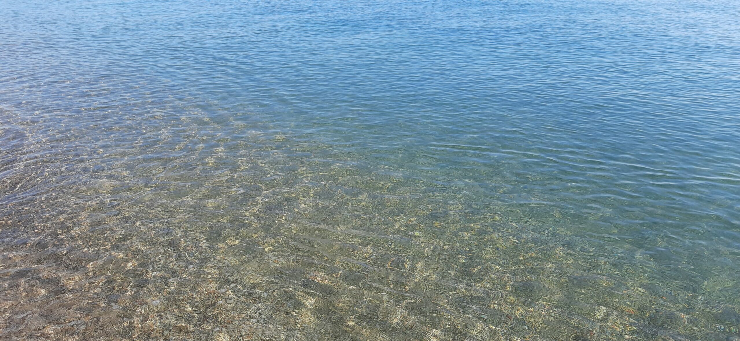 Ringraziare desidero