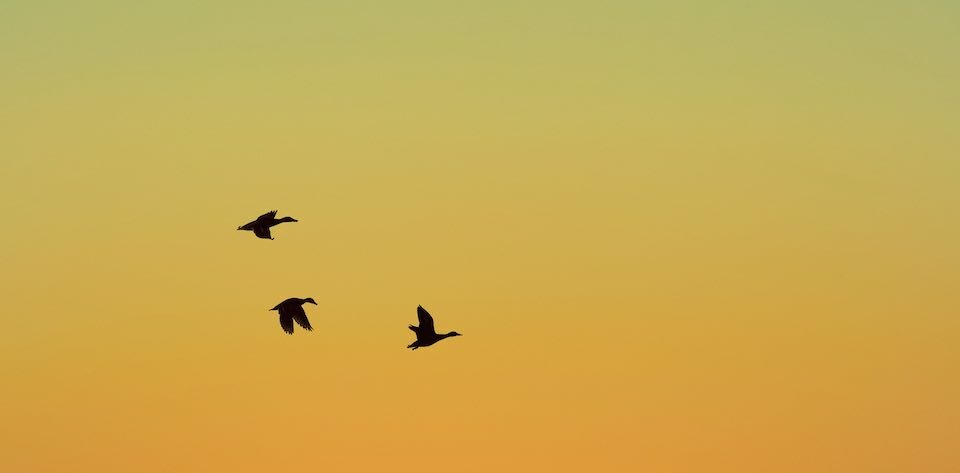 &ldquo;Il Figlio dell&rsquo;uomo, quando verr&agrave;, trover&agrave; la fede sulla terra?&rdquo;