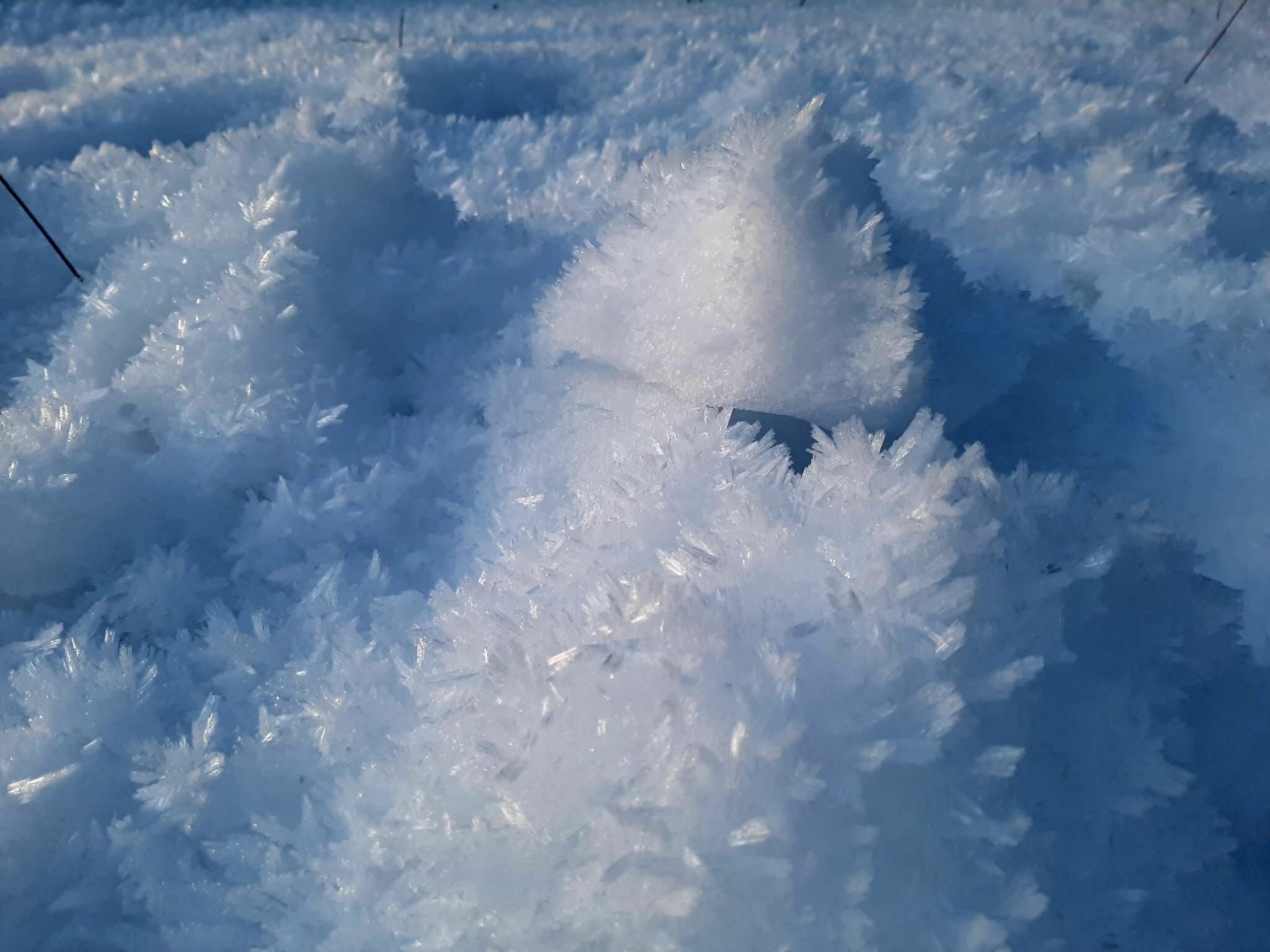 Le fatiche del cammino ecumenico