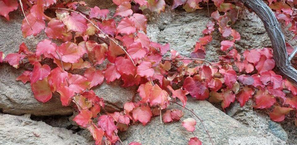 E&rsquo; stata l&rsquo;unica vera riforma