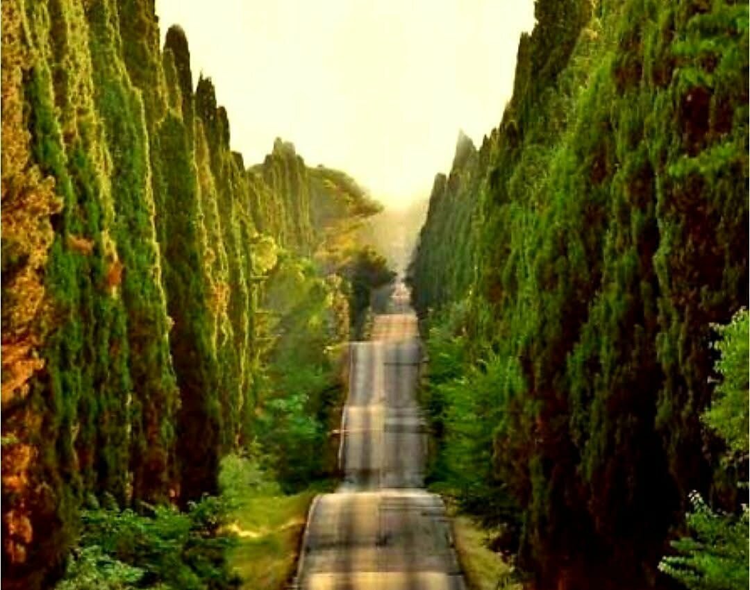 Un desiderio cattolico, vedere il Papa profetizzare Un desiderio cattolico, vedere il Papa profetizzare