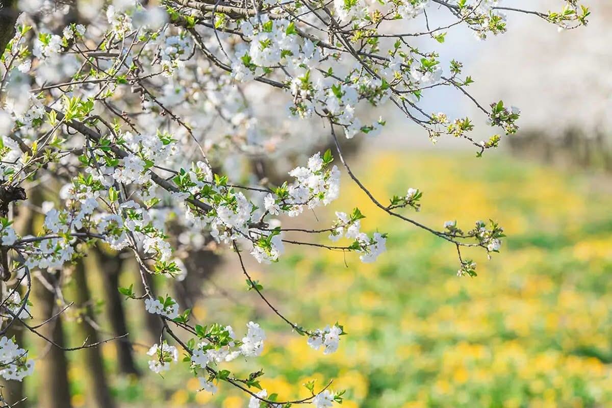 L&igrave; dove il Signore si manifesta
