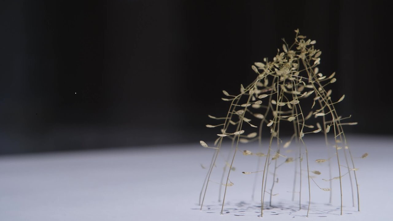 Nessuno è giusto e tutti siamo salvati