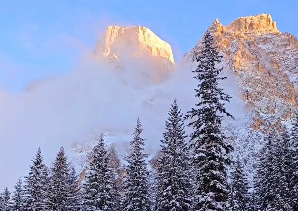 Una questione di grandezza d’animo Una questione di grandezza d’animo