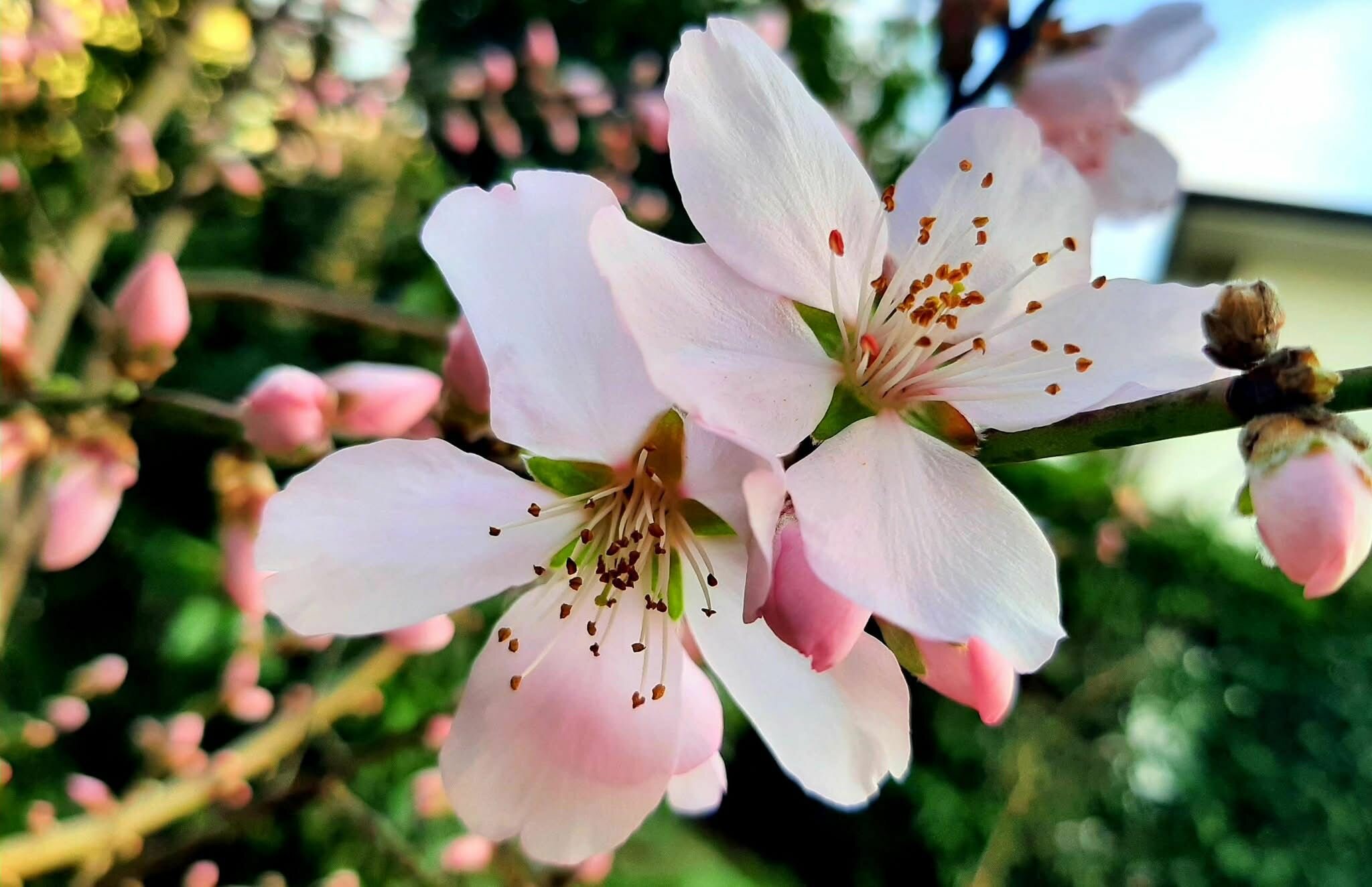 Fedi diverse, ma unica la via: Gesù