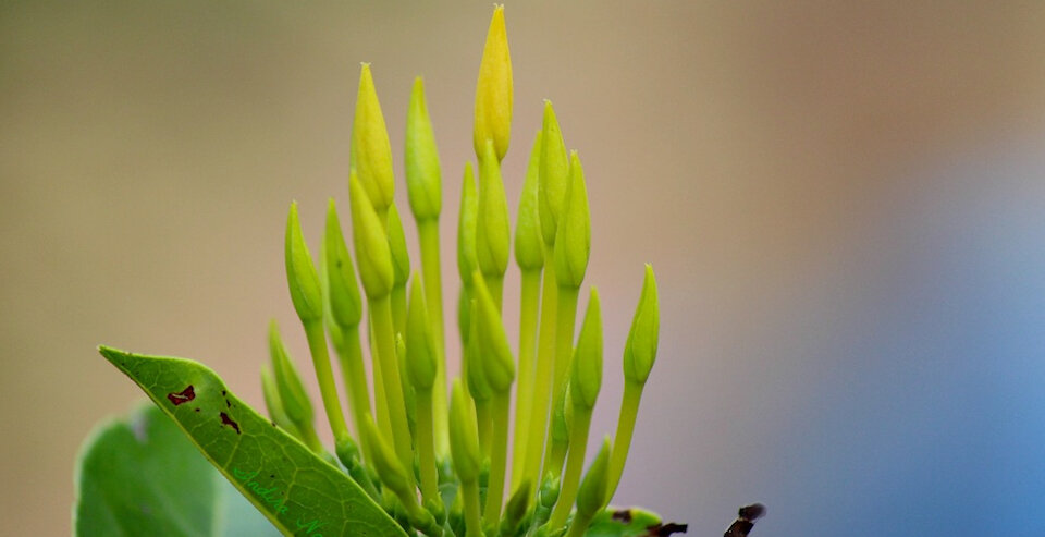 Impara a contare i tuoi giorni