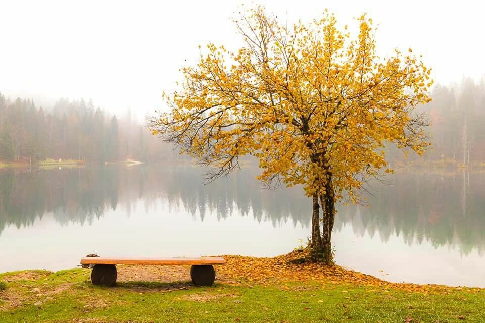 L'unica vita in Cristo che &egrave; amore