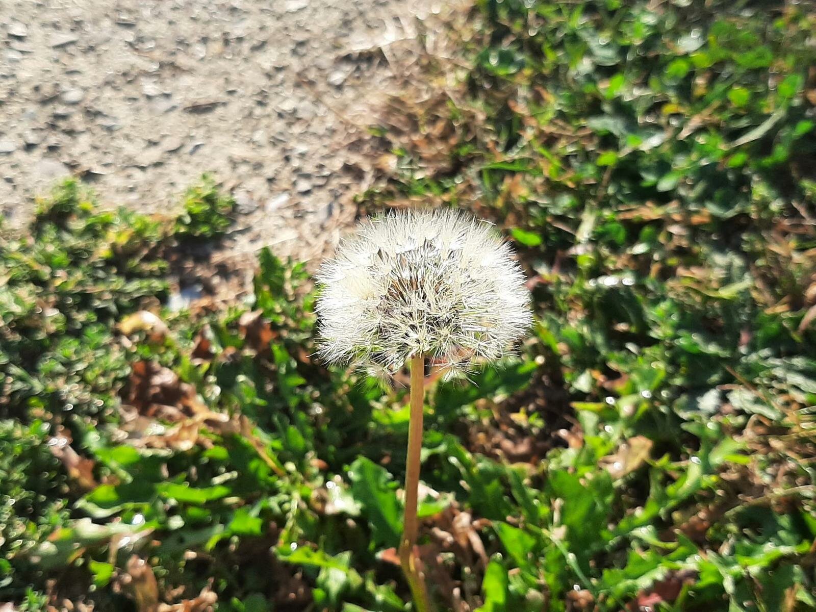 Come ristabilire l&rsquo;unit&agrave; della Chiesa se la liturgia non si basa sui Vangeli?