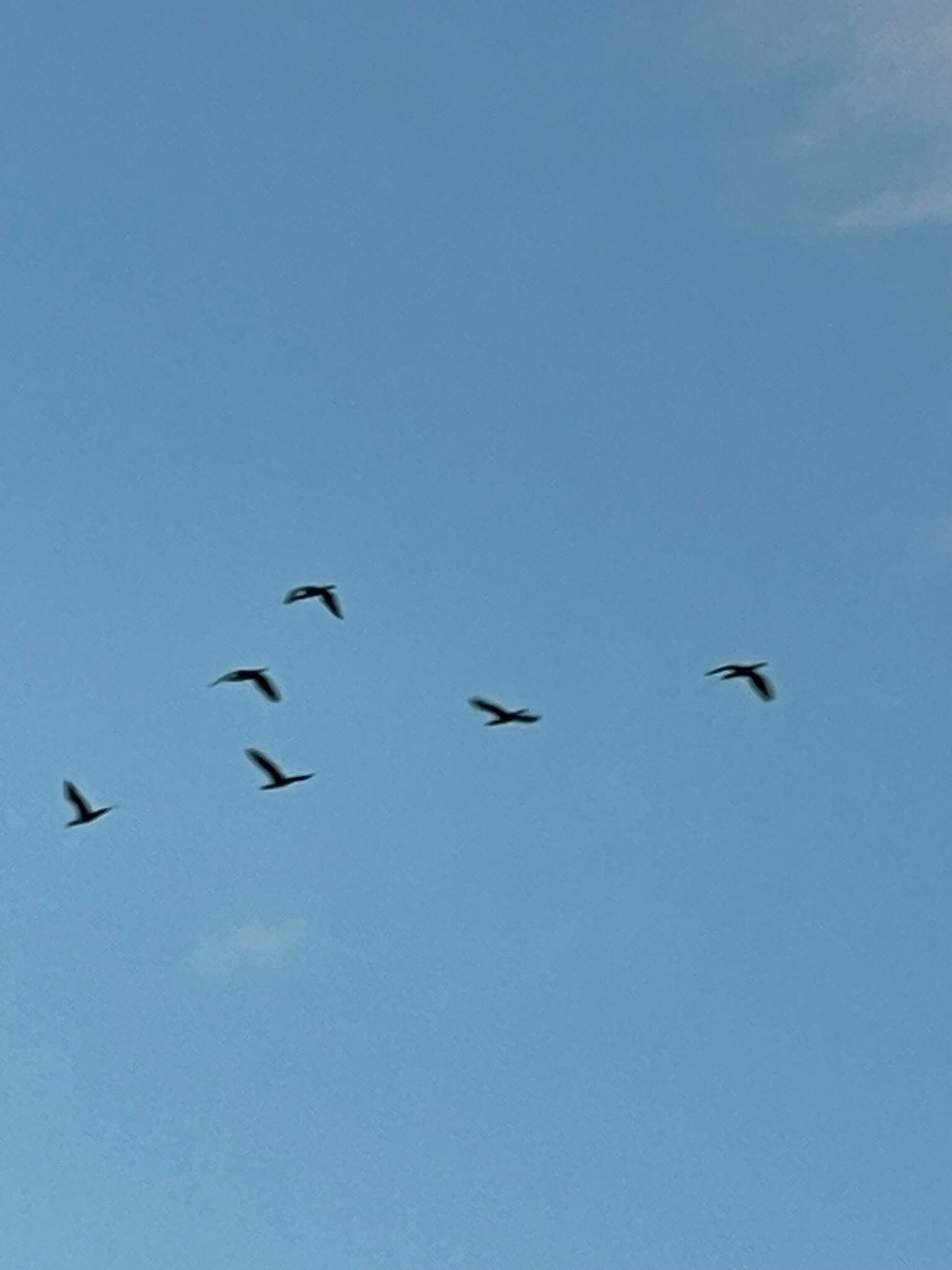 Le nostre liturgie parlano ai giovani?