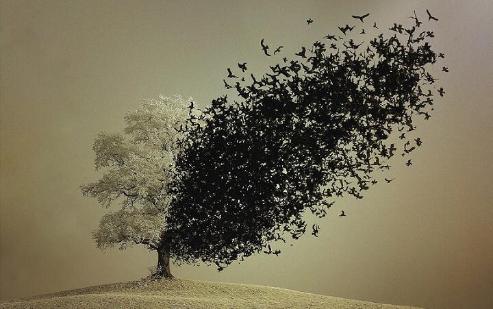 Tutti i battezzati per una Chiesa diversa