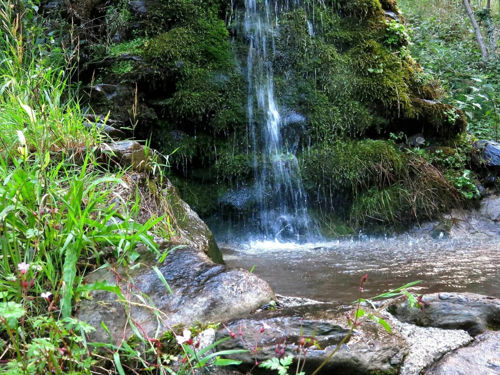 &ldquo;Fate attenzione e guardatevi da ogni cupidigia!&rdquo;