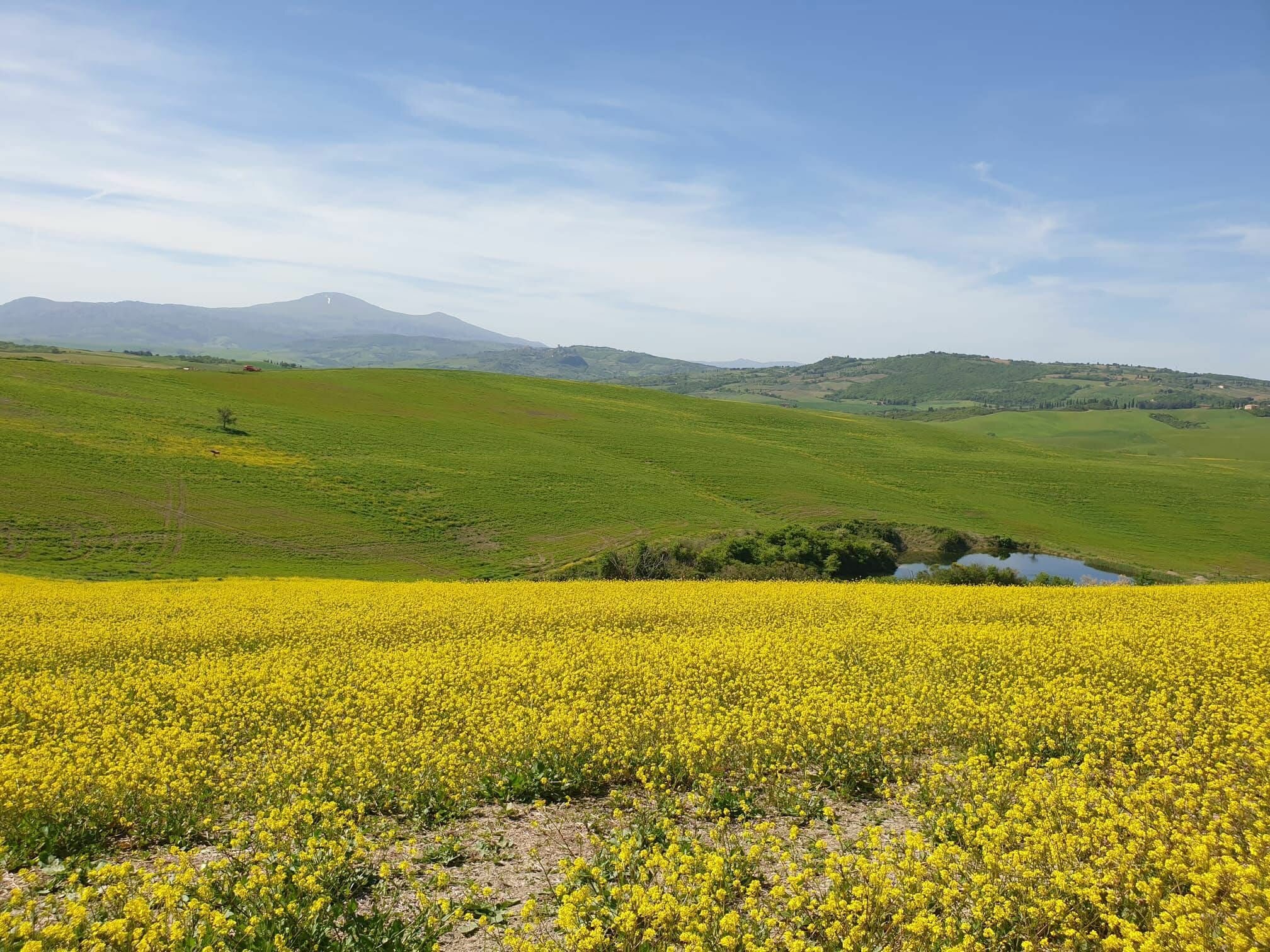 La preghiera come libert&agrave; davanti a Dio