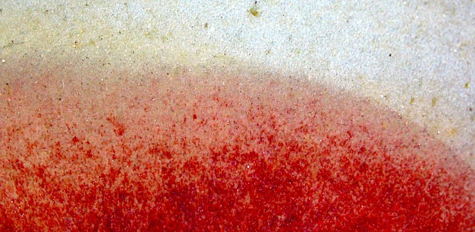 Le esigenze della sequela di Gesù Le esigenze della sequela di Gesù