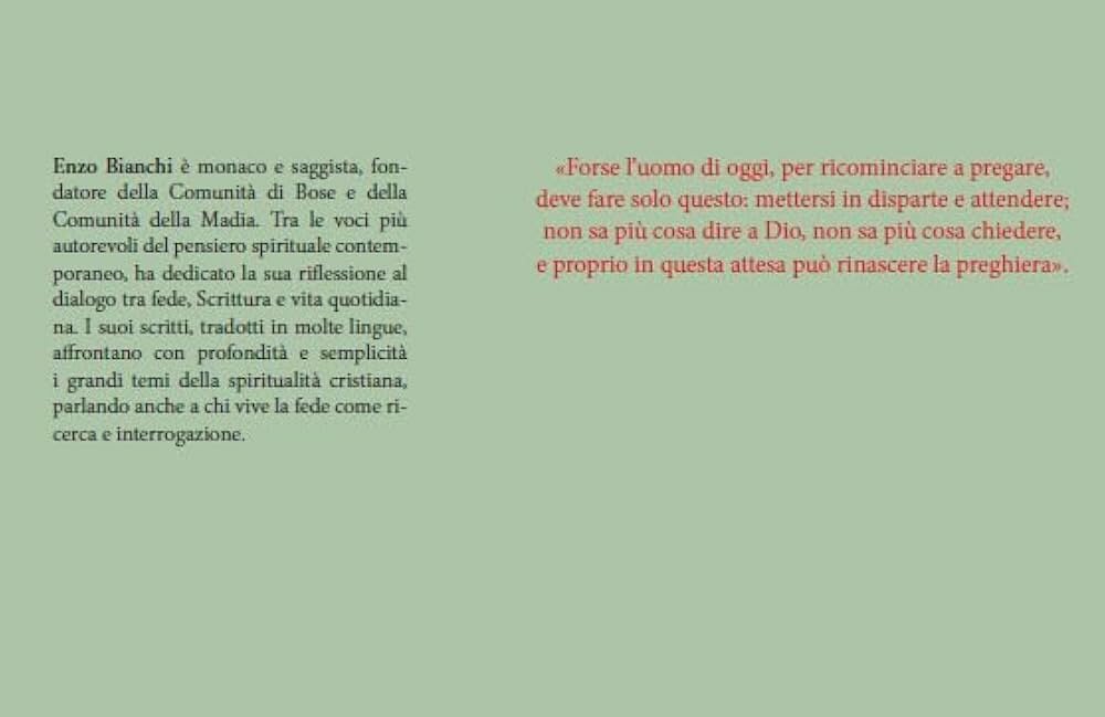 31tdd7ct4ul._ac_uf10001000_ql80_.jpeg