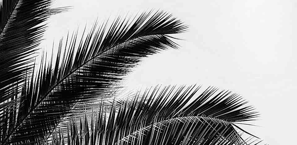 Nel suo amore tutti noi saremo richiamati alla vita eterna.