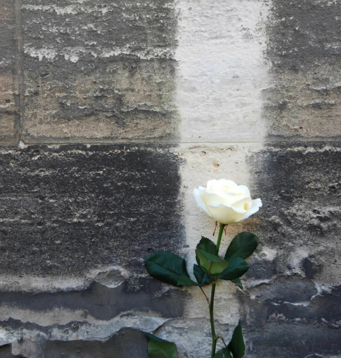 Non strattonate Francesco. Era un folle, sempre fuori posto