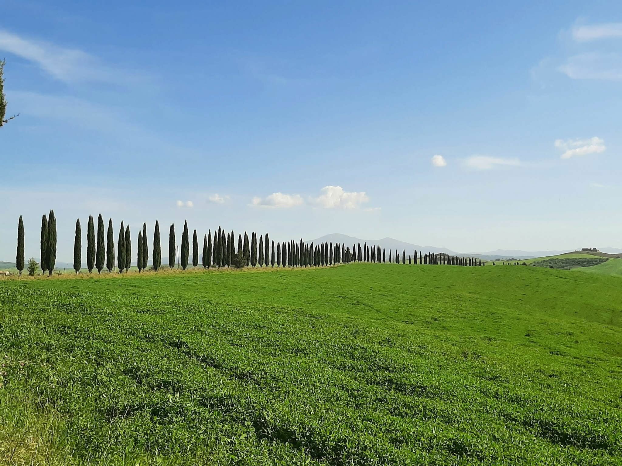 Mettetevi in cammino ogni giorno