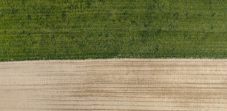 Prima che le policrisi esplodano difendiamo la Terra di tutti