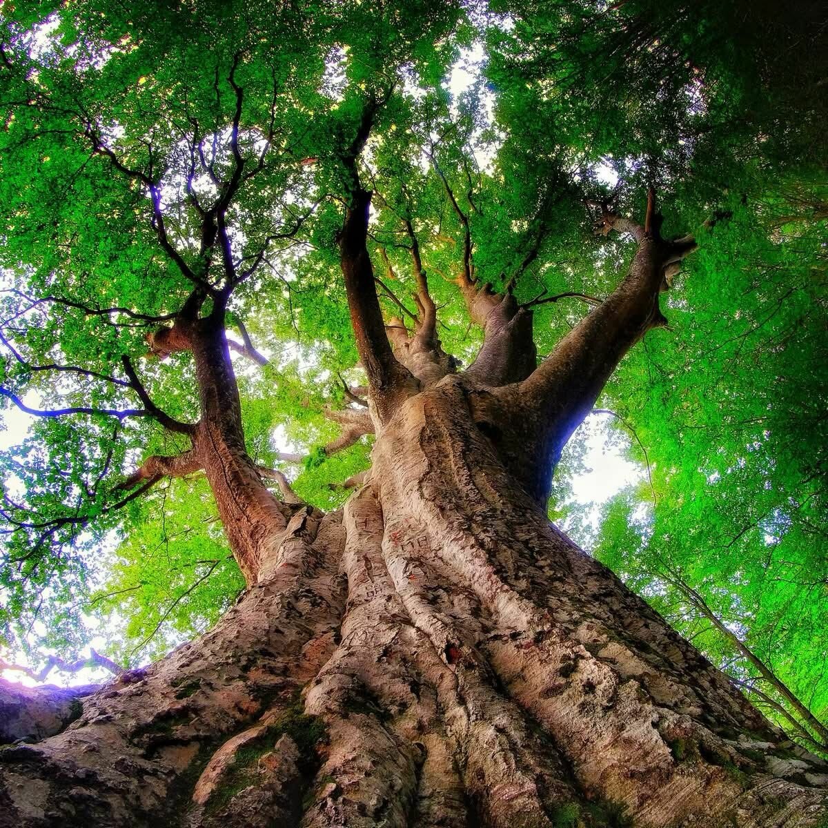 C'&egrave; un tempo per nascere e un tempo per rinascere