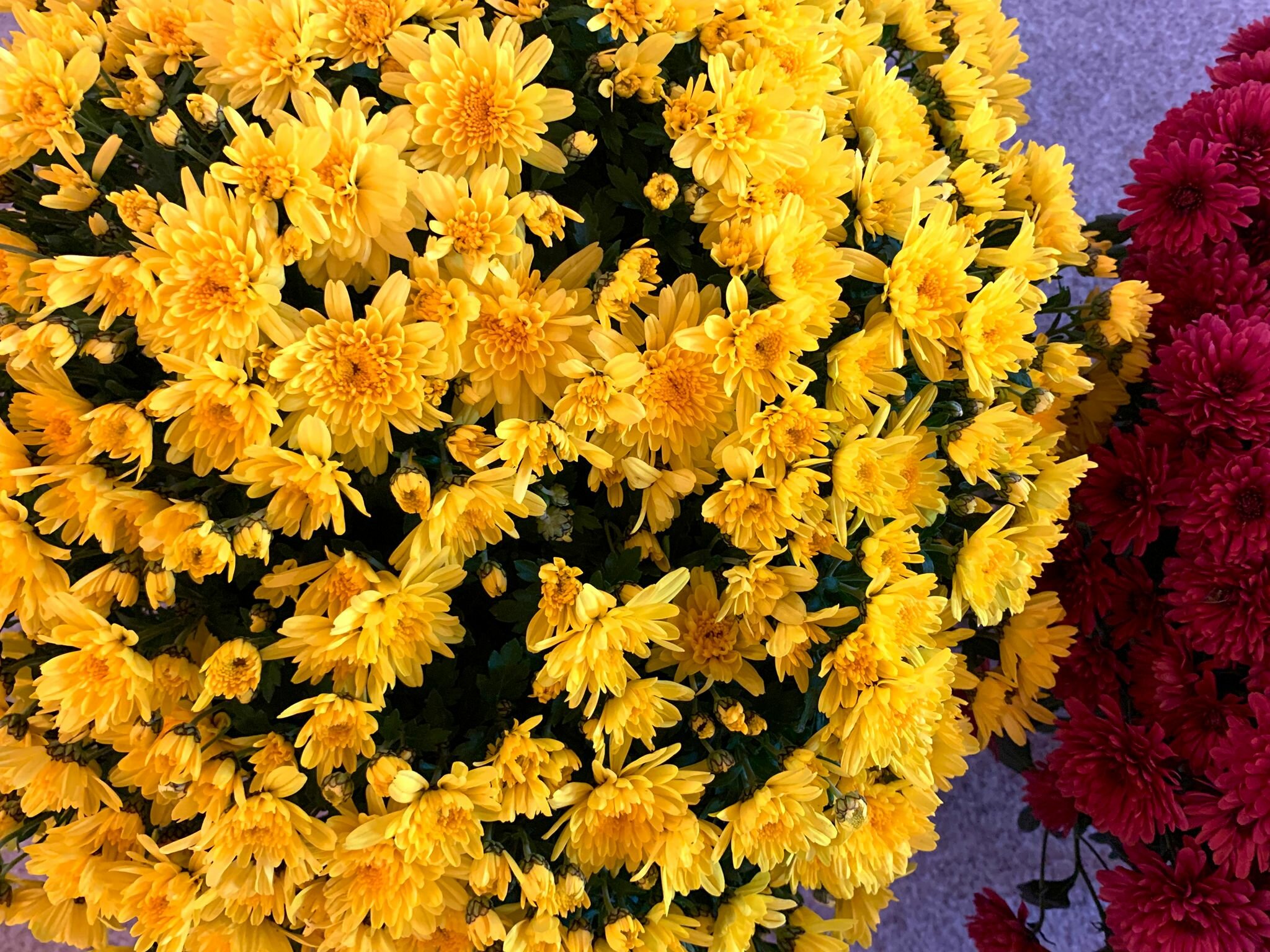 La vita che ci accomuna