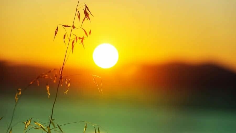 Il messaggio che ci ha lasciato il giubileo