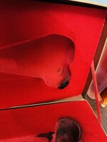 11-litri-givenchy-organza-profumo-vintage-1100-ml-edp-raro-eau-de-parfum-donna-xxl