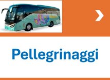 pellegrinaggi parrocchia di carignano.jpeg