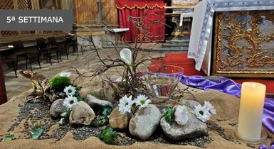 5-img_20260308_091648-320