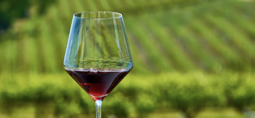 Su SudGusto Sicilia, 15 milioni per il vino: pubblicato il nuovo bando Ocm per investimenti nelle aziende vitivinicole Su SudGusto Sicilia, 15 milioni per il vino: pubblicato il nuovo bando Ocm per investimenti nelle aziende vitivinicole