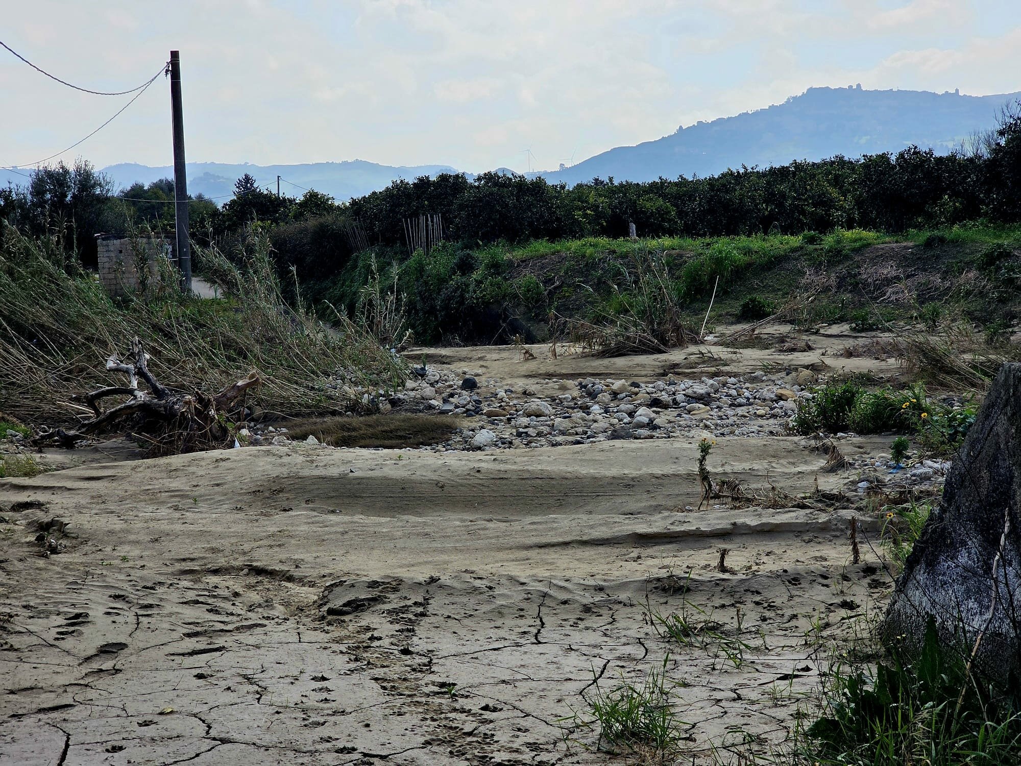 Su SudGusto La terra grida aiuto: un’agricoltura sempre più in ginocchio Su SudGusto La terra grida aiuto: un’agricoltura sempre più in ginocchio