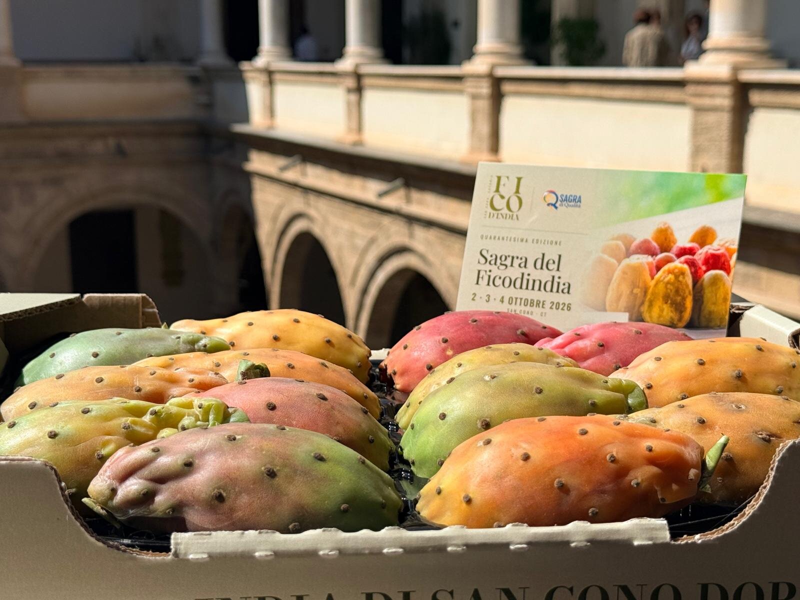 Su SudGusto San Cono celebra quarant&rsquo;anni di Sagra: il ficodindia tra identit&agrave;, cucina e futuro