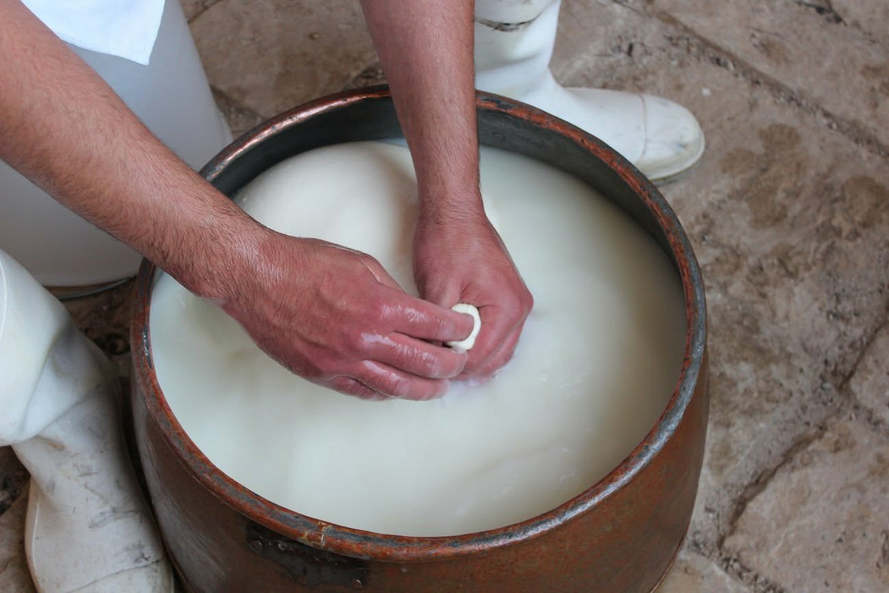 Su SudGusto A Ragusa Ibla torna "WE-CHEESE": quattro giorni per celebrare il Ragusano Dop e l'arte casearia iblea