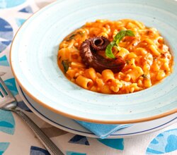 505437841_1257924429671856_2461767322037130445_n.jpeg 505437841_1257924429671856_2461767322037130445_n.jpeg