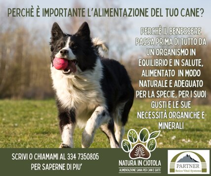 Alimentazione naturale e sana per il tuo cane