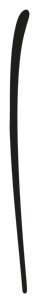 risorsa 4