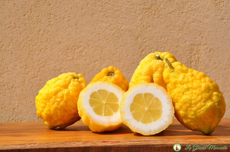 cedro cf.jpeg