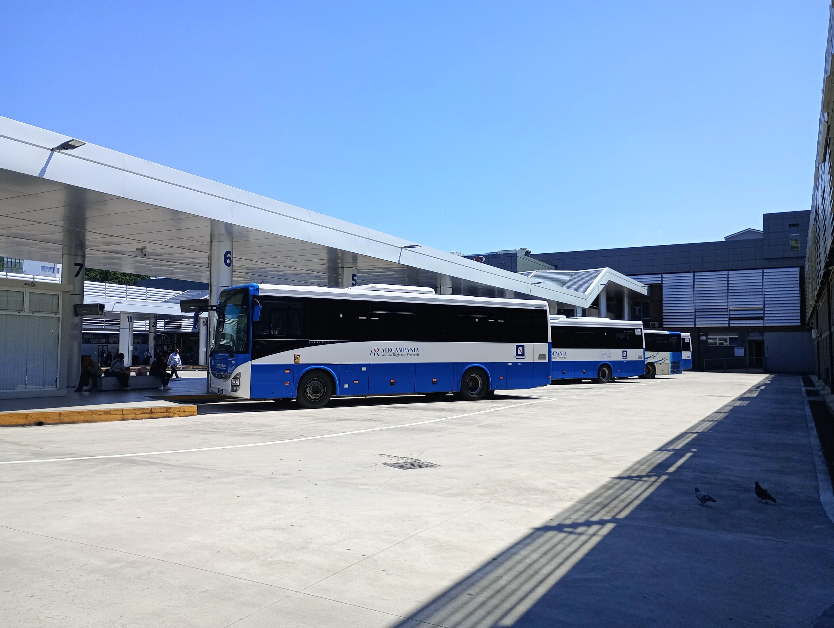 Autista dell'Air aggredito per aver difeso una donna vittima di violenza