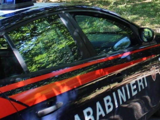 Gattino legato a un albero, stava soffocando. Denunciato il proprietario