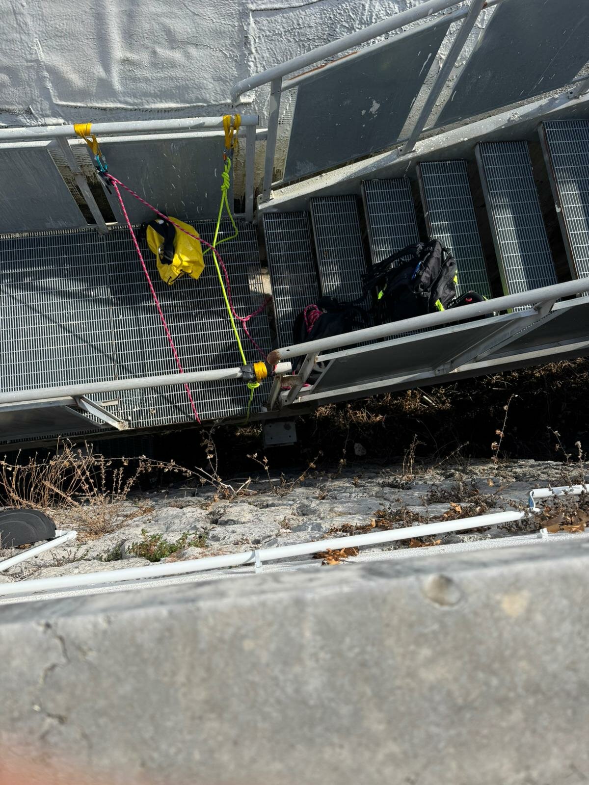 1000194882.jpeg 1000194882.jpeg