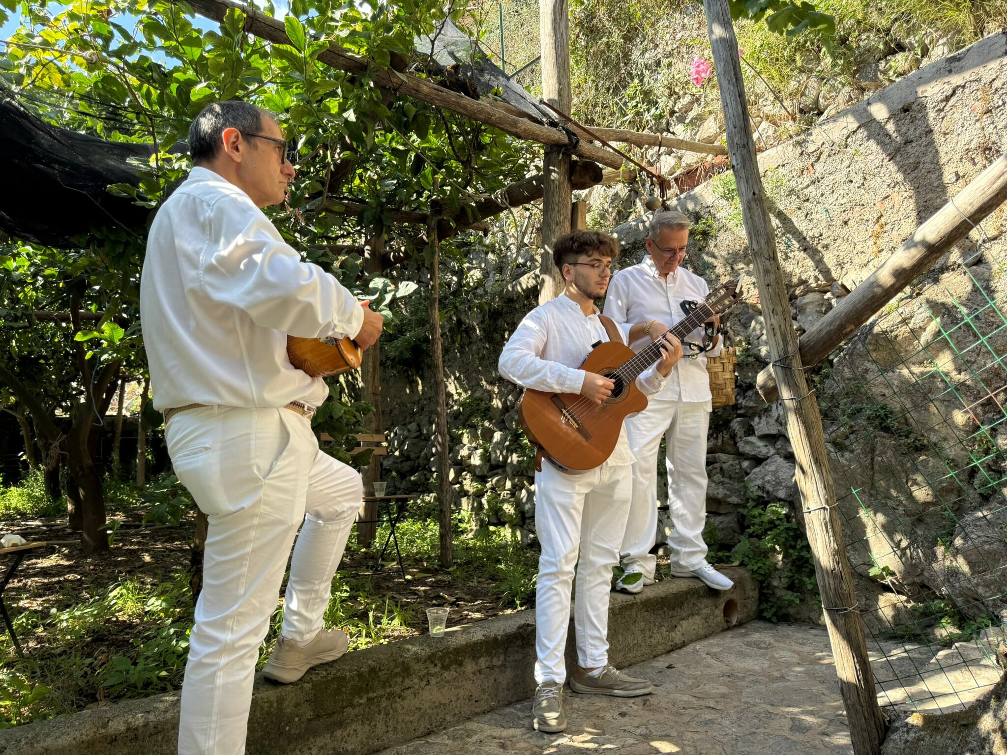 1000187936.jpeg 1000187936.jpeg