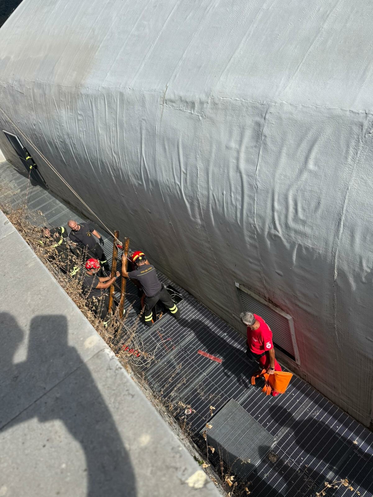 1000194896.jpeg 1000194896.jpeg