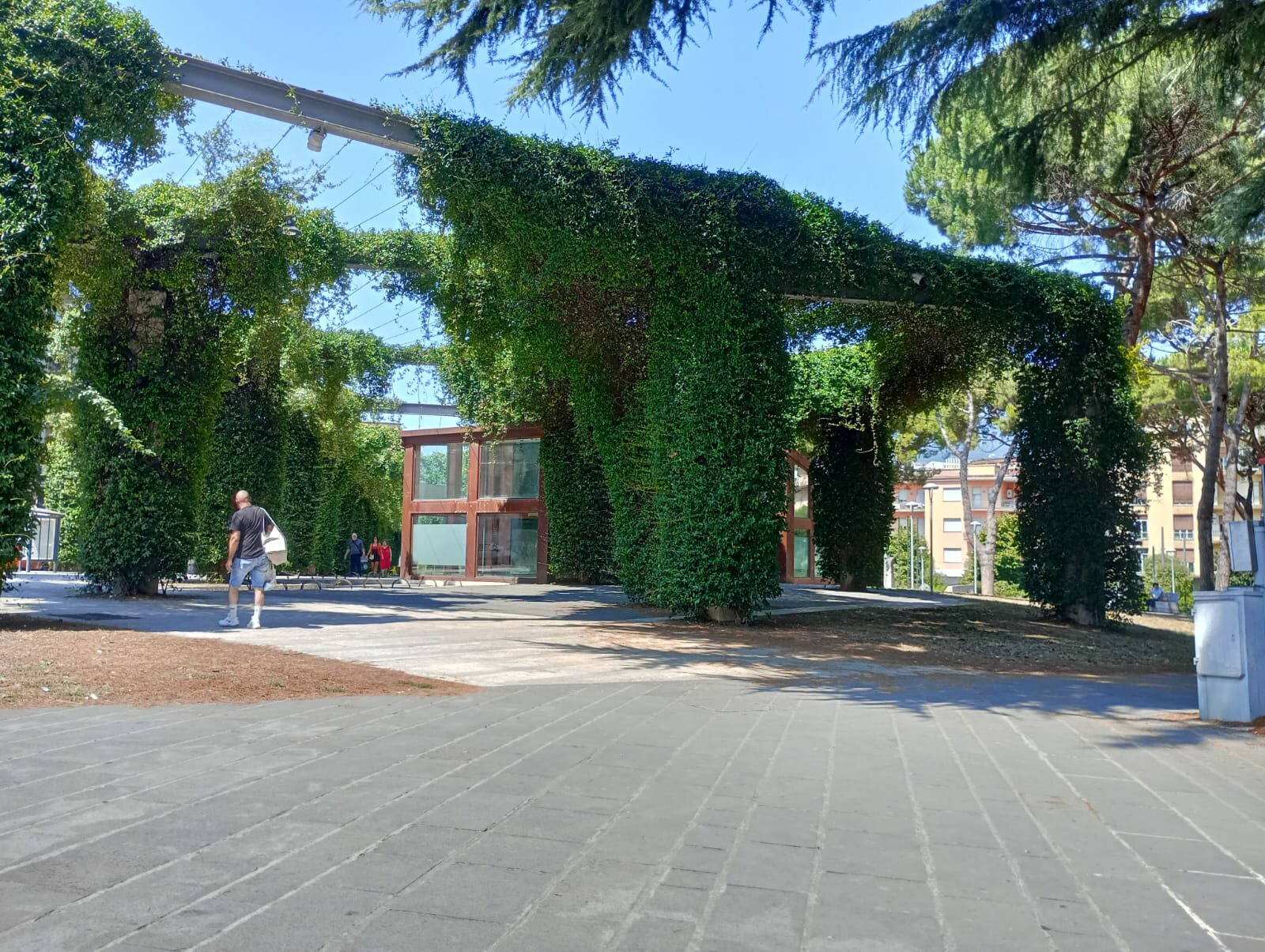 6c511929-2d0e-4527-9c54-34fc70cc343b-1_all_62117.jpeg 6c511929-2d0e-4527-9c54-34fc70cc343b-1_all_62117.jpeg