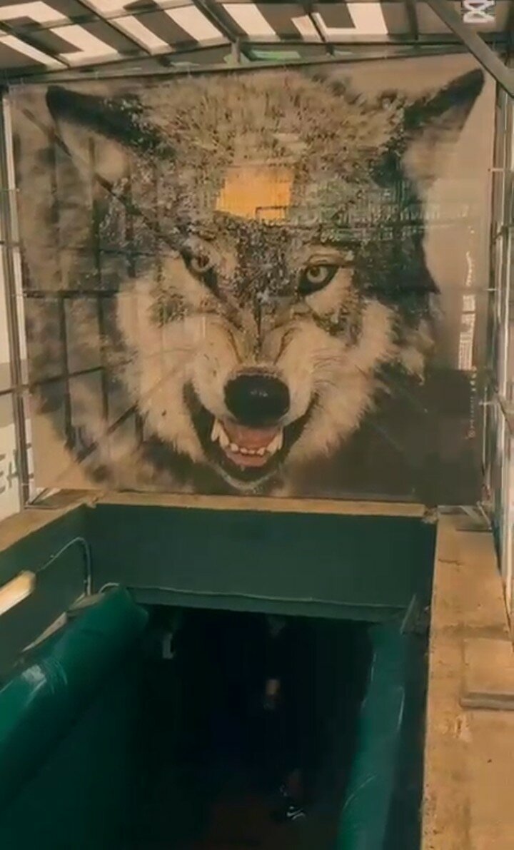 1000188016.jpeg 1000188016.jpeg