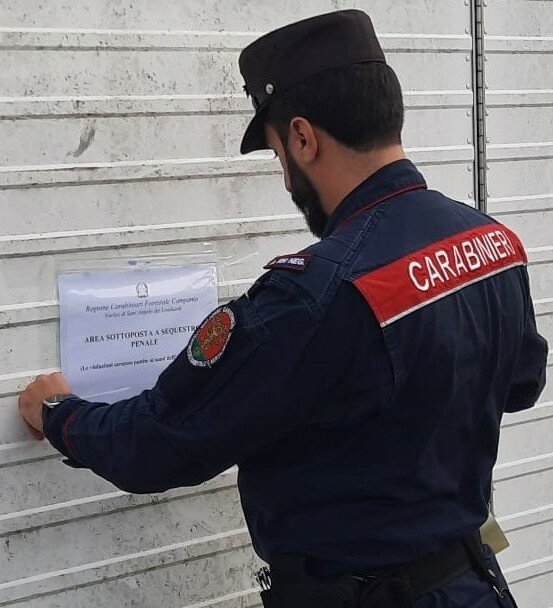 1000196705.jpeg 1000196705.jpeg