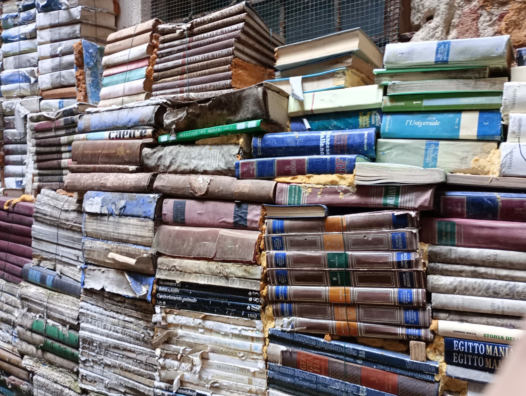 6c511929-2d0e-4527-9c54-34fc70cc343b-1_all_61914.jpeg 6c511929-2d0e-4527-9c54-34fc70cc343b-1_all_61914.jpeg