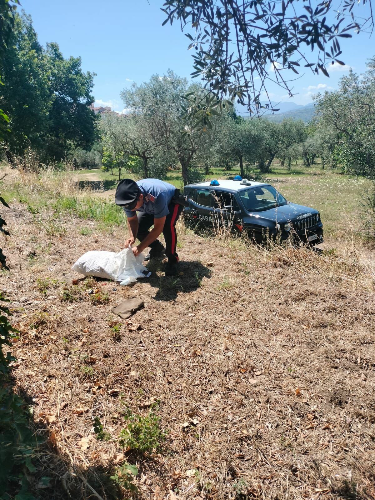 Fontanarosa, ritrovati buoni postali in un terreno: erano stati rubati nella casa di un anziano