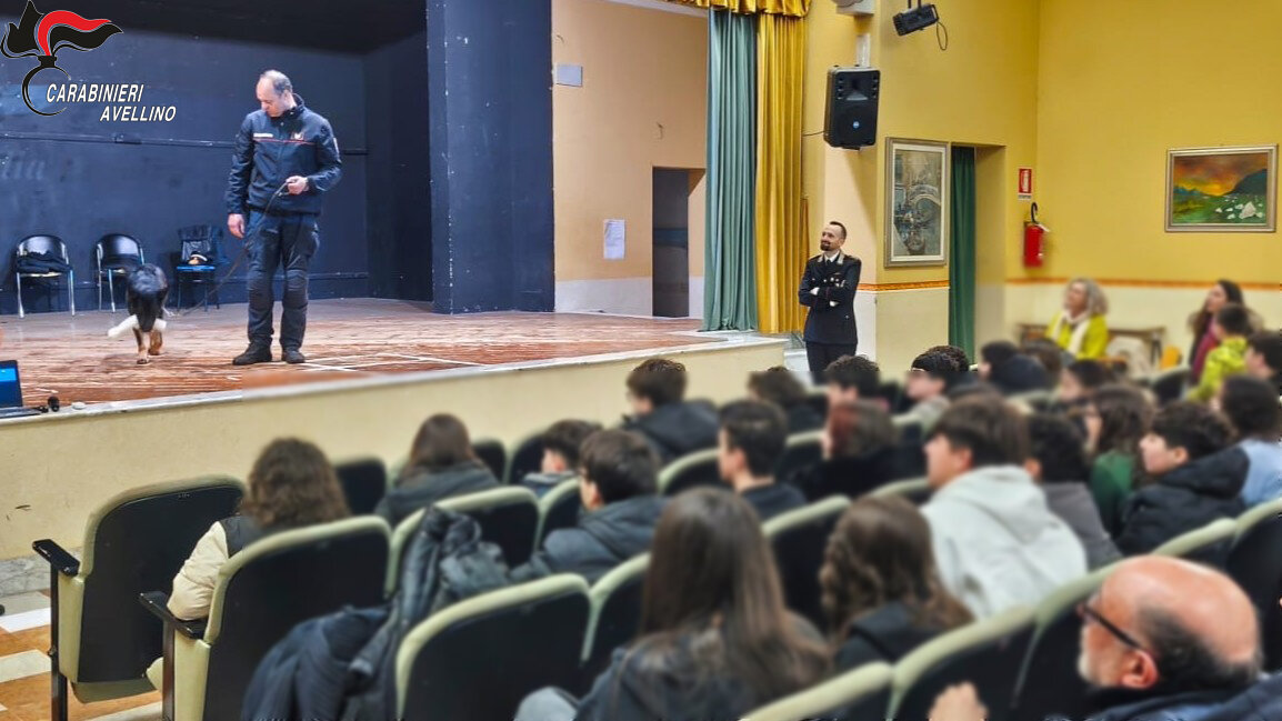 Il cane carabiniere Debby conquista gli studenti: a Sturno una giornata tra sicurezza informatica e prevenzione